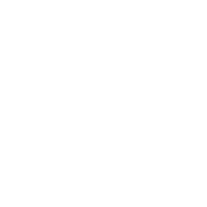 David Hirson & Partners, LLP | Full Service Immigration Law Firm
